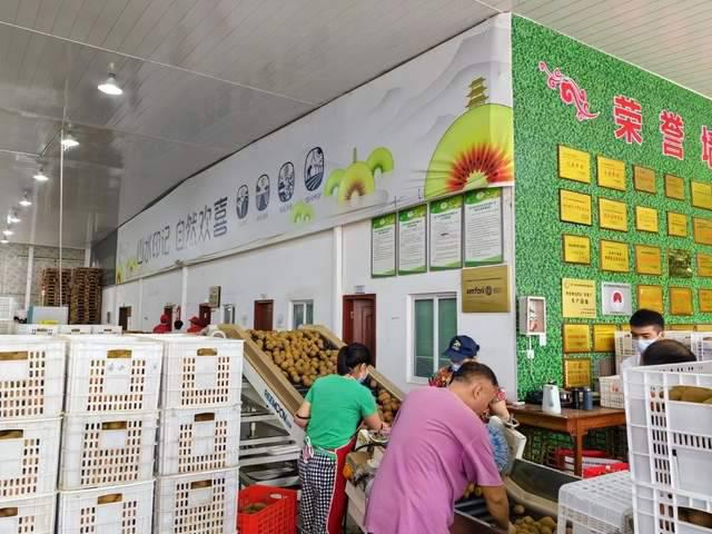 529c35cddeee44e0ae3c081daec3ee75_tplv-tt-shrink_640_0.jpg