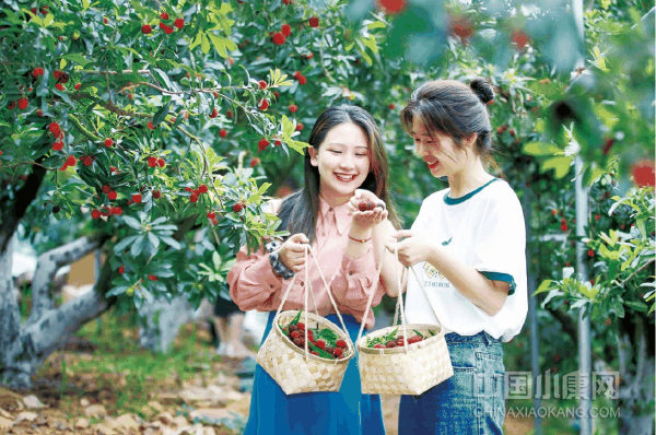 1696750616139213_xiaokangwm.png
