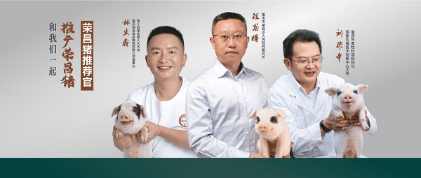 0206a3b7-90db-4965-9db2-02dbbd5979d2.png