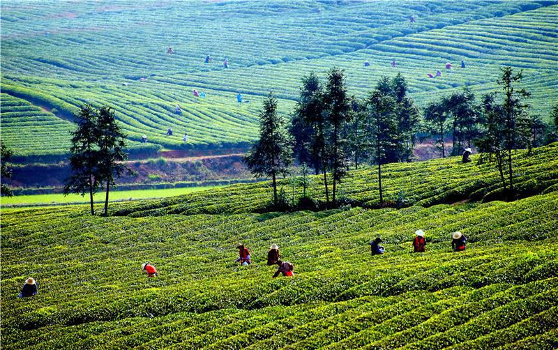 LOCAL1699401917600M3AUT8LUOK.jpg
