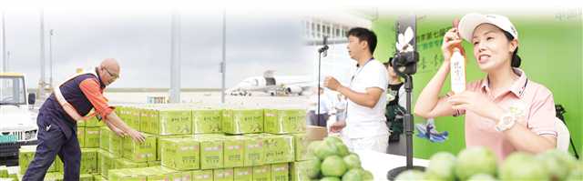 LOCAL1700434520270GZ3XLNLKPL.jpg