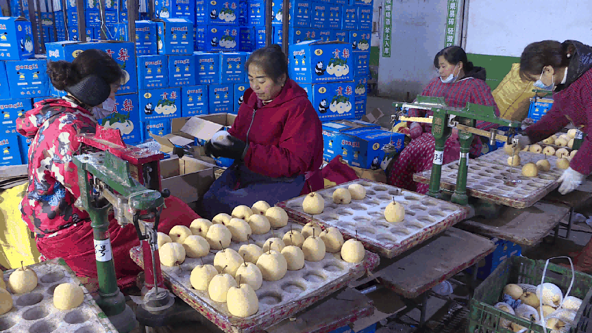 图片1.png