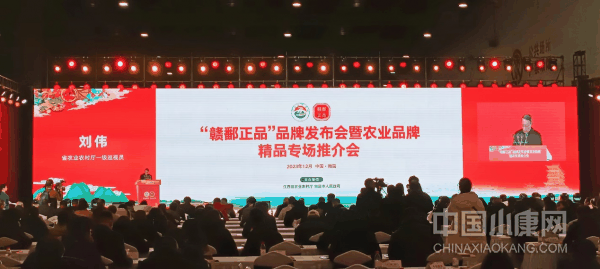 1703409174370853_xiaokangwm.png