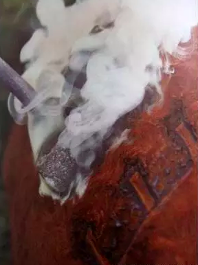 微信图片_20240403104514.png