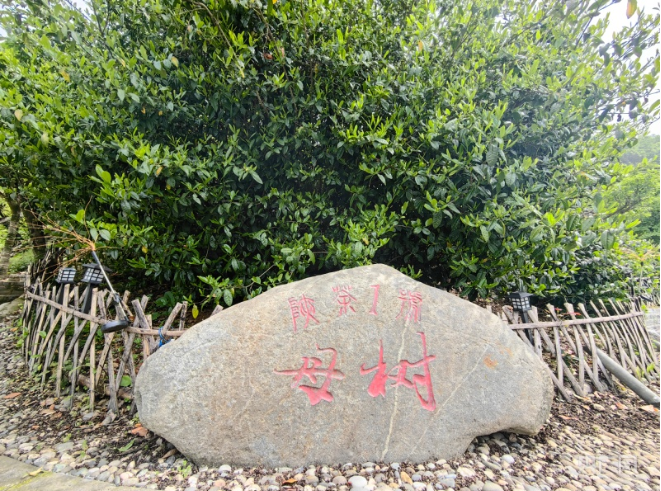 1713945562461.png