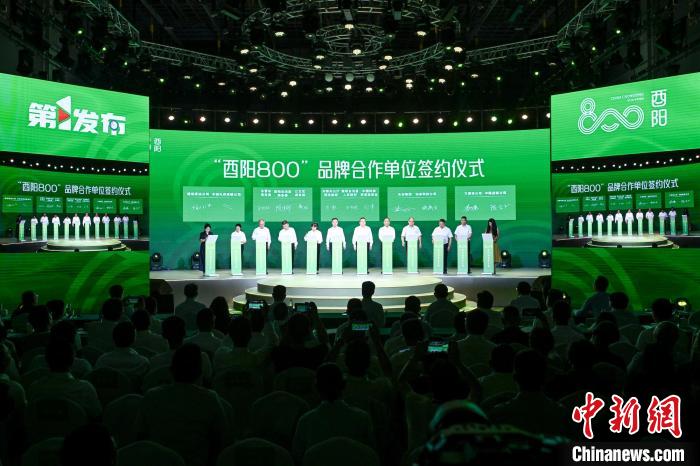 88b19281-778c-4b97-b0f3-4661d38e9075_zsite.jpg