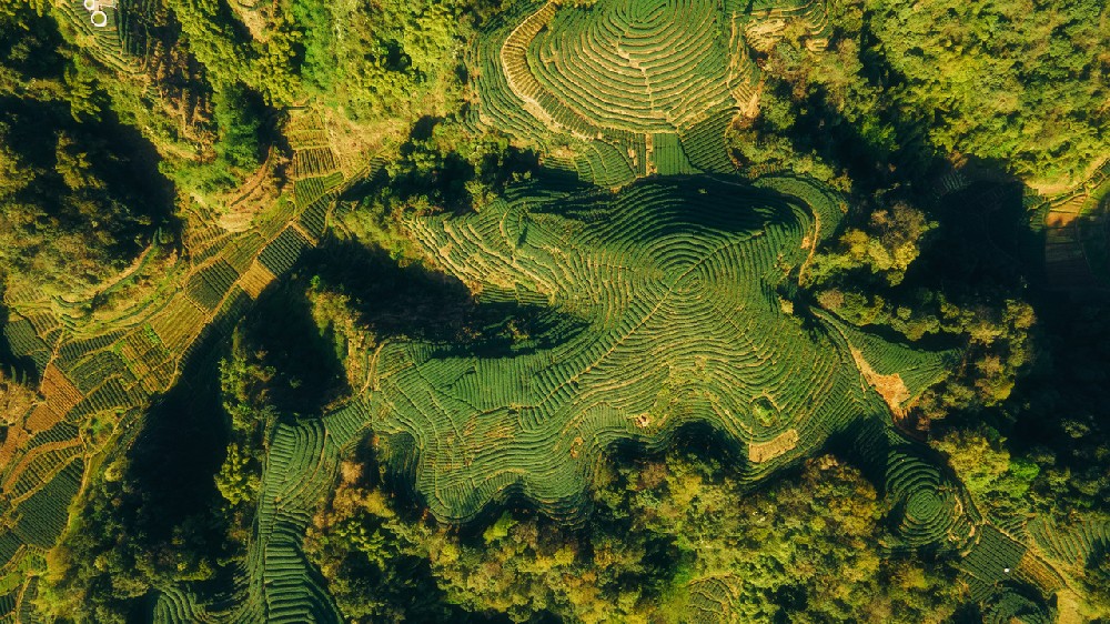 1838003146612875264_1280px.jpg