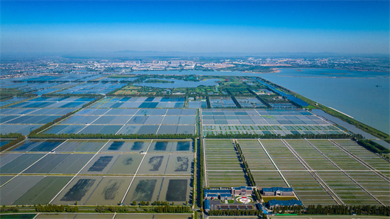 ab6faa2d6f5c4fba87d0ca6672caa1db.550x309.jpg