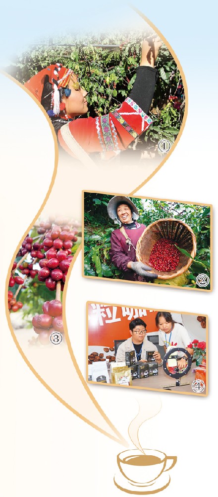 99b98ff9-223d-4225-be35-d0a750380751.jpg