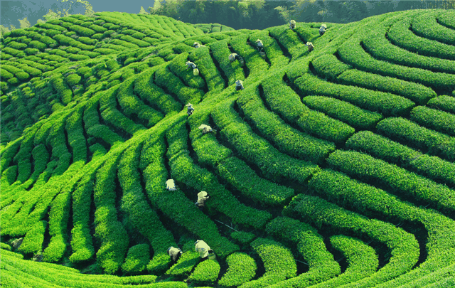 1561180658.png 图片1.png