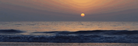 微信图片_20190625162914.gif