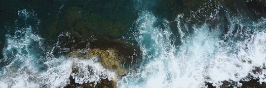 微信图片_20190625162918.gif
