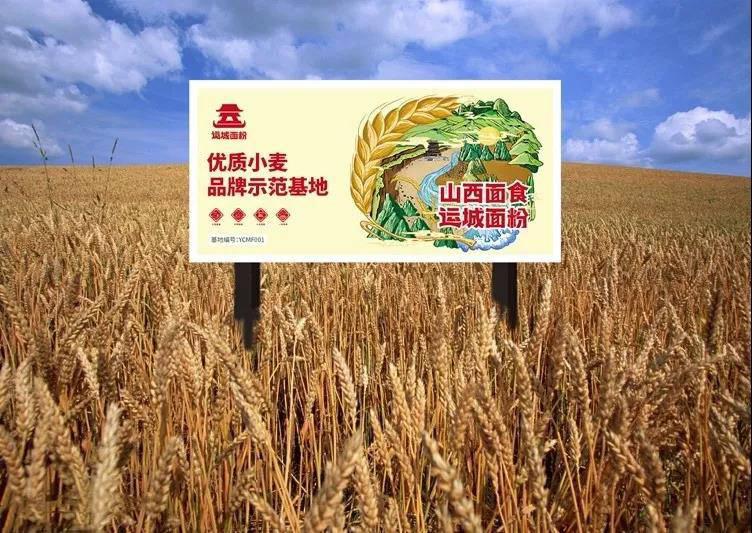 1565575036.jpg 微信图片_20190812095116.jpg