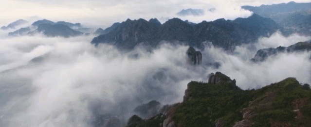 微信图片_20191126155259.gif