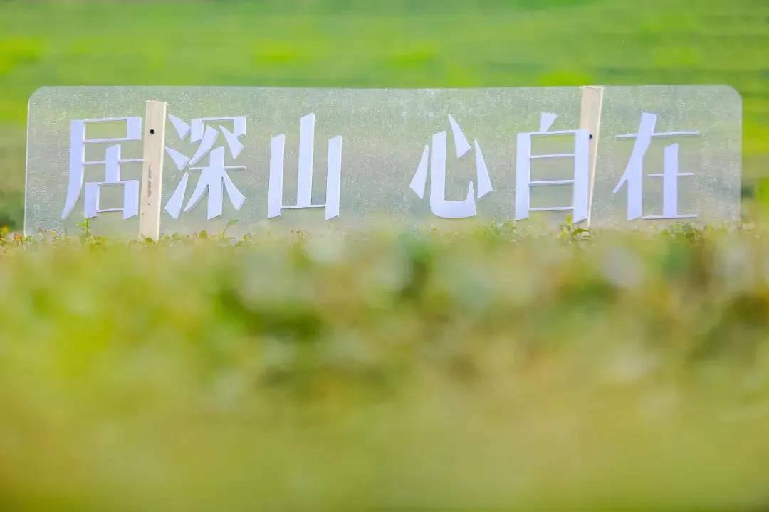 微信图片_20200422104431.jpg