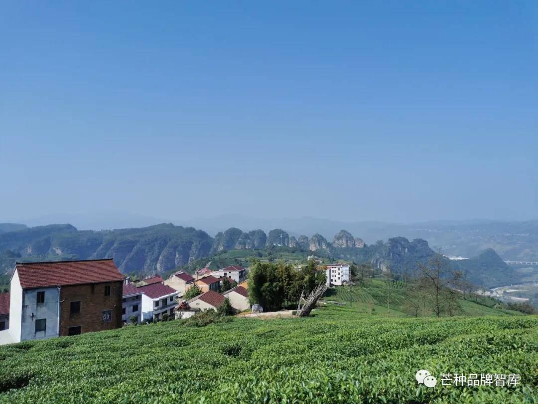 1587698471.jpg 微信图片_20200424111151.jpg
