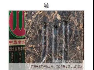 1589362054.jpg 微信图片_20200513171722.jpg
