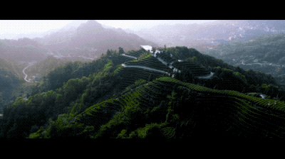 微信图片_20200522114042.gif