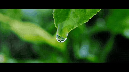 微信图片_20200522114045.gif