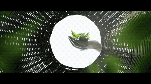 微信图片_20200522114048.gif