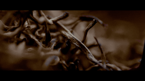 微信图片_20200522114108.gif