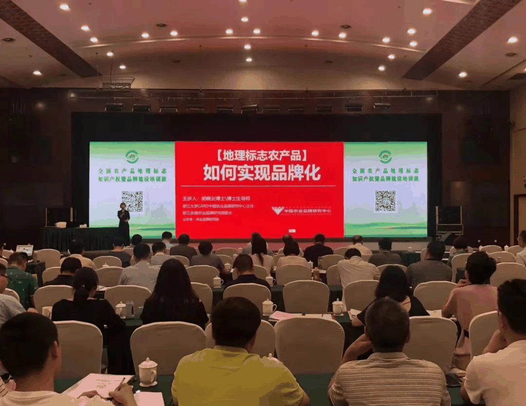 图片01.png