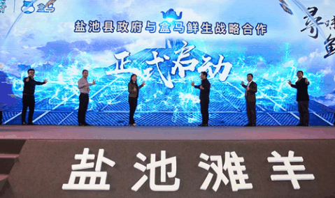 图片14.png