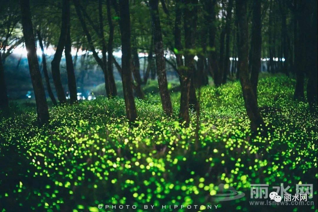 微信图片_20210527174751.jpg