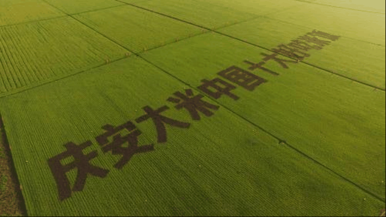微信图片_20220215093314.png