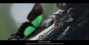 11.png