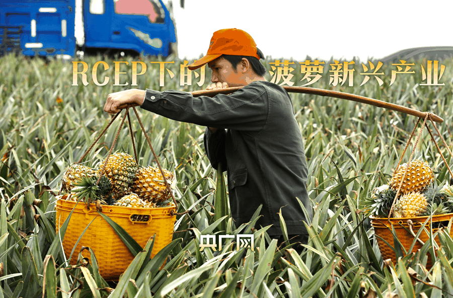 884c1f12df06c164785281891254604210.png