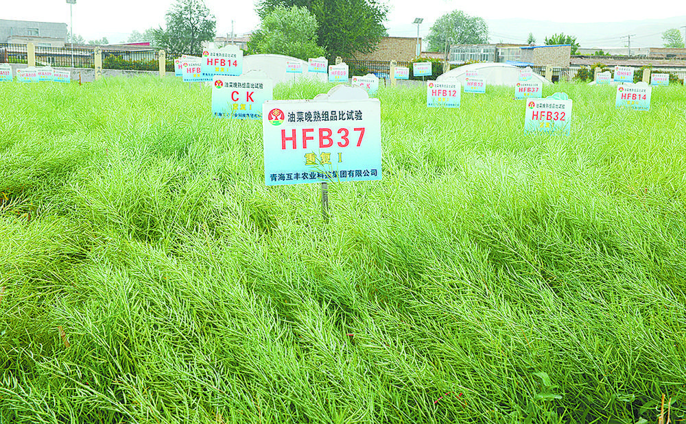 b38850be-ca73-4a37-890c-e9b1ece63861_tif.jpg