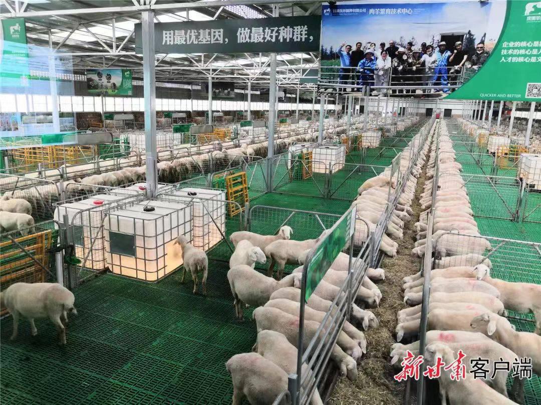 微信图片_20220922105554.jpg