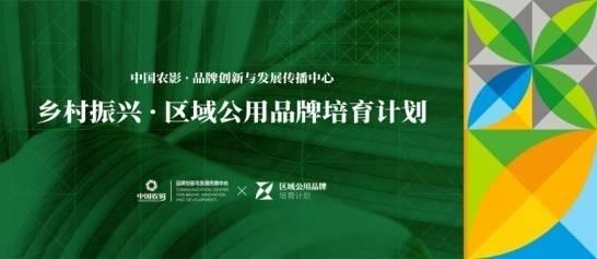00d86151204724ace1710f.jpg