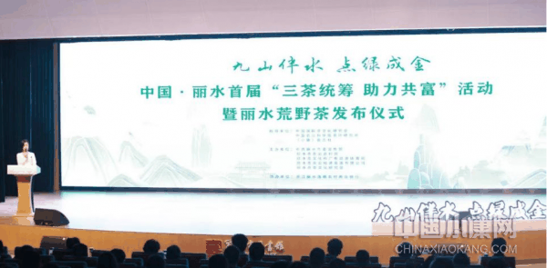1668918556835386_xiaokangwm.png