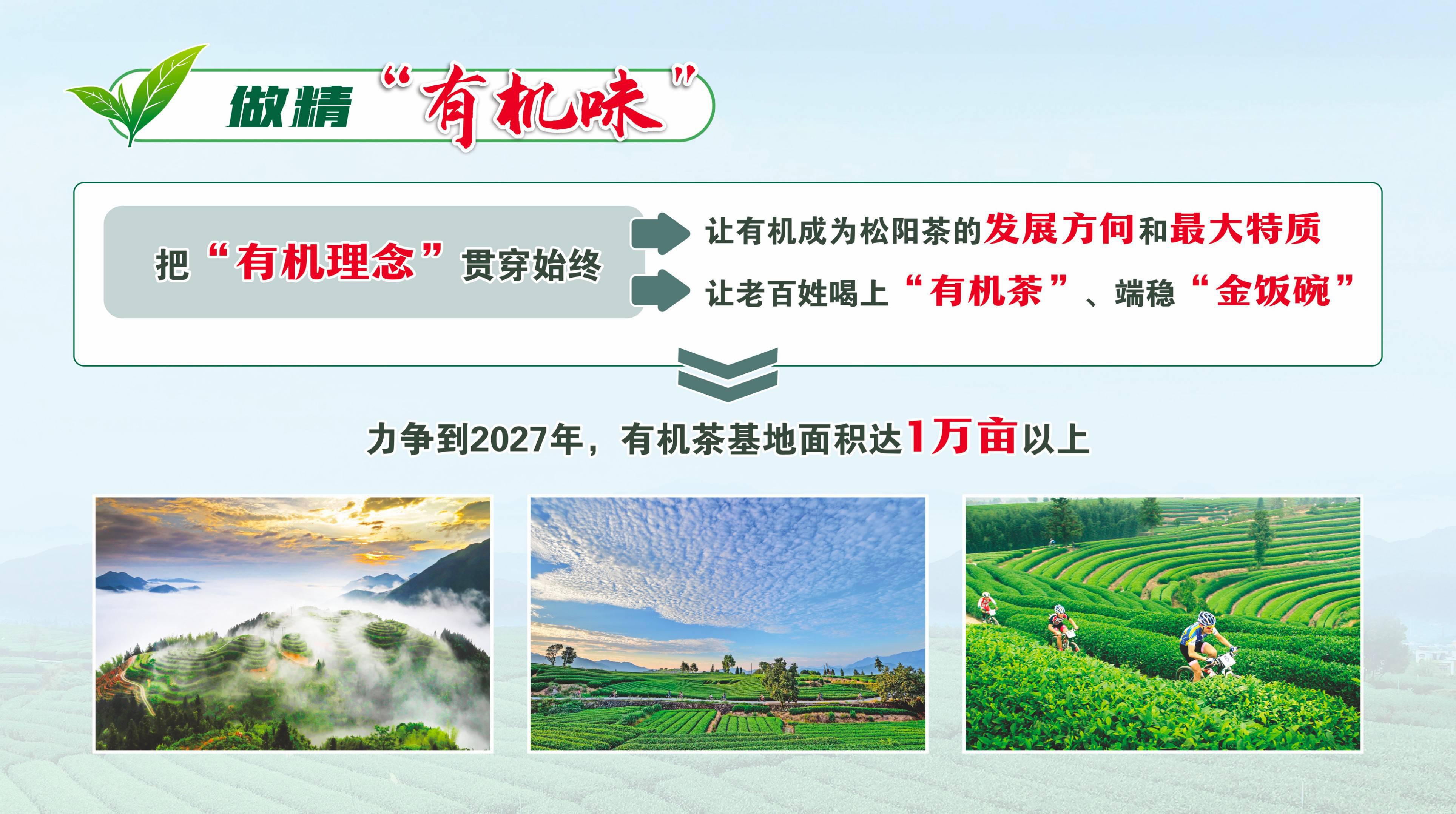 59532abe53cf4d76a862a25212d253ba.jpg
