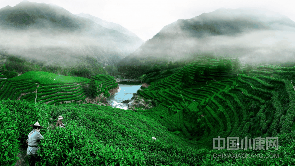 1669715660377200_xiaokangwm.png