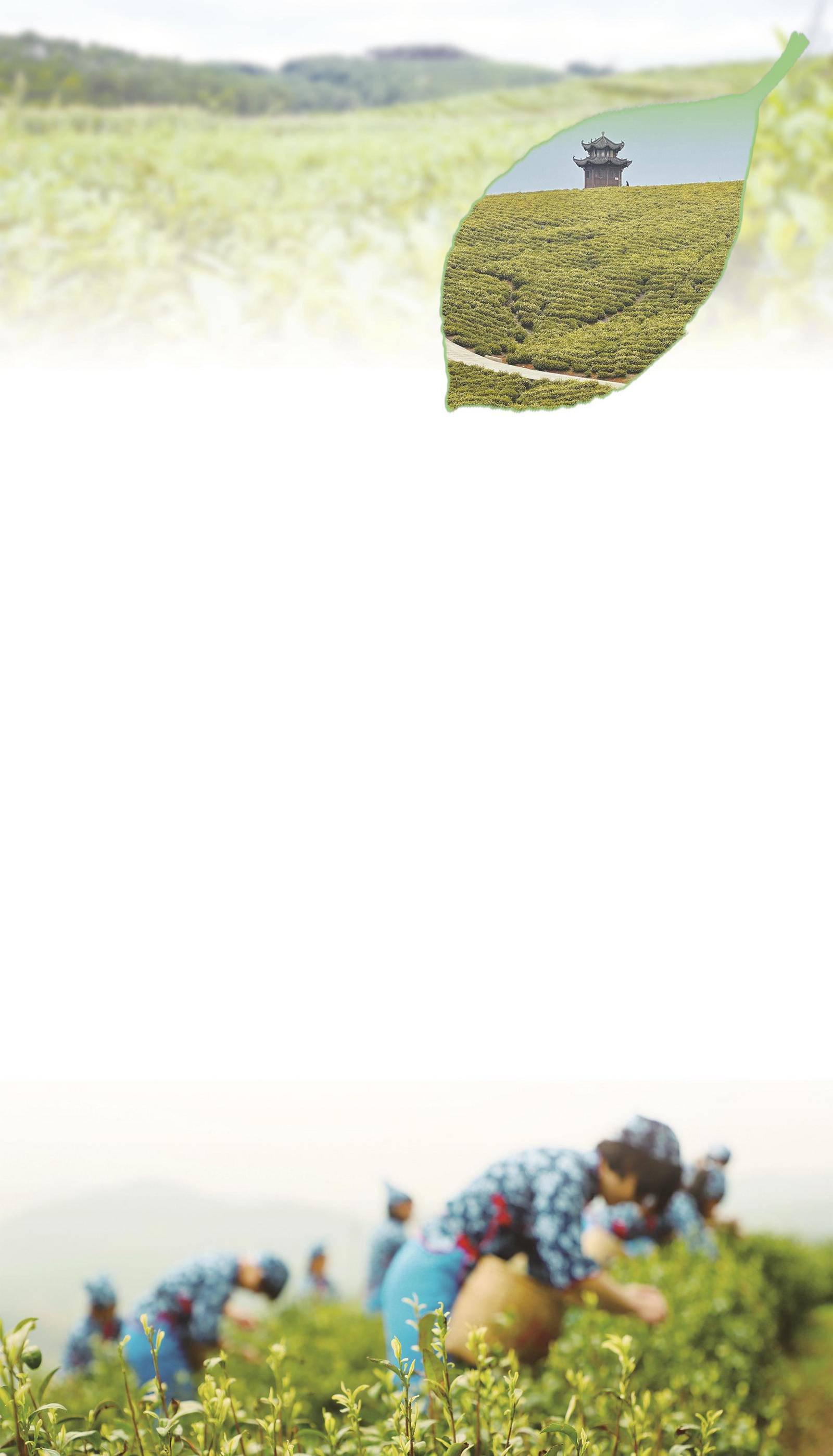 1681875970566024.jpg
